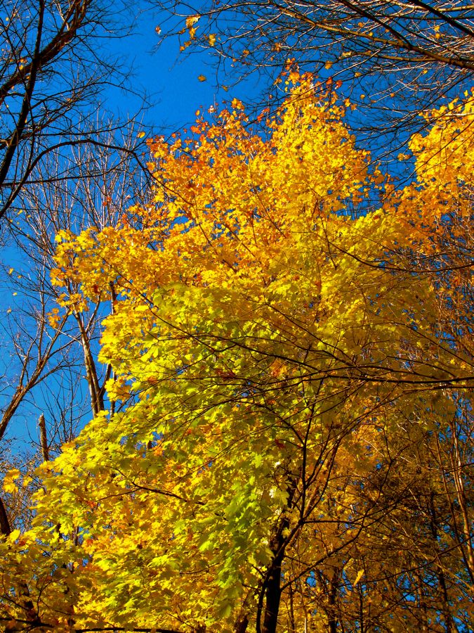 Colori del Quebec (04)