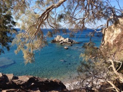 tamarix, look over Hammam beach